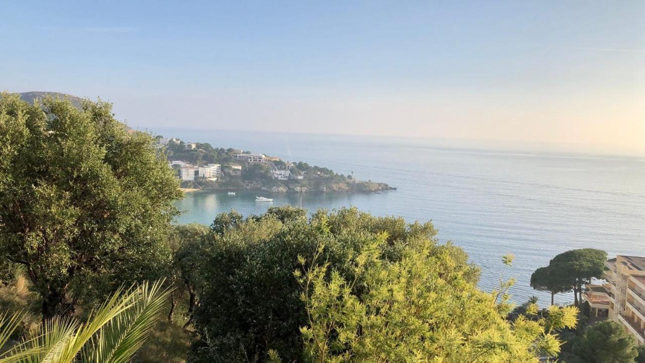 Velazquez 116 Βίλα Ρόζες Εξωτερικό φωτογραφία